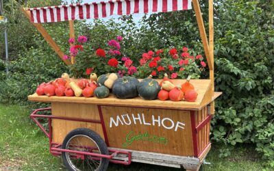 Herbstzeit – Kürbiszeit!