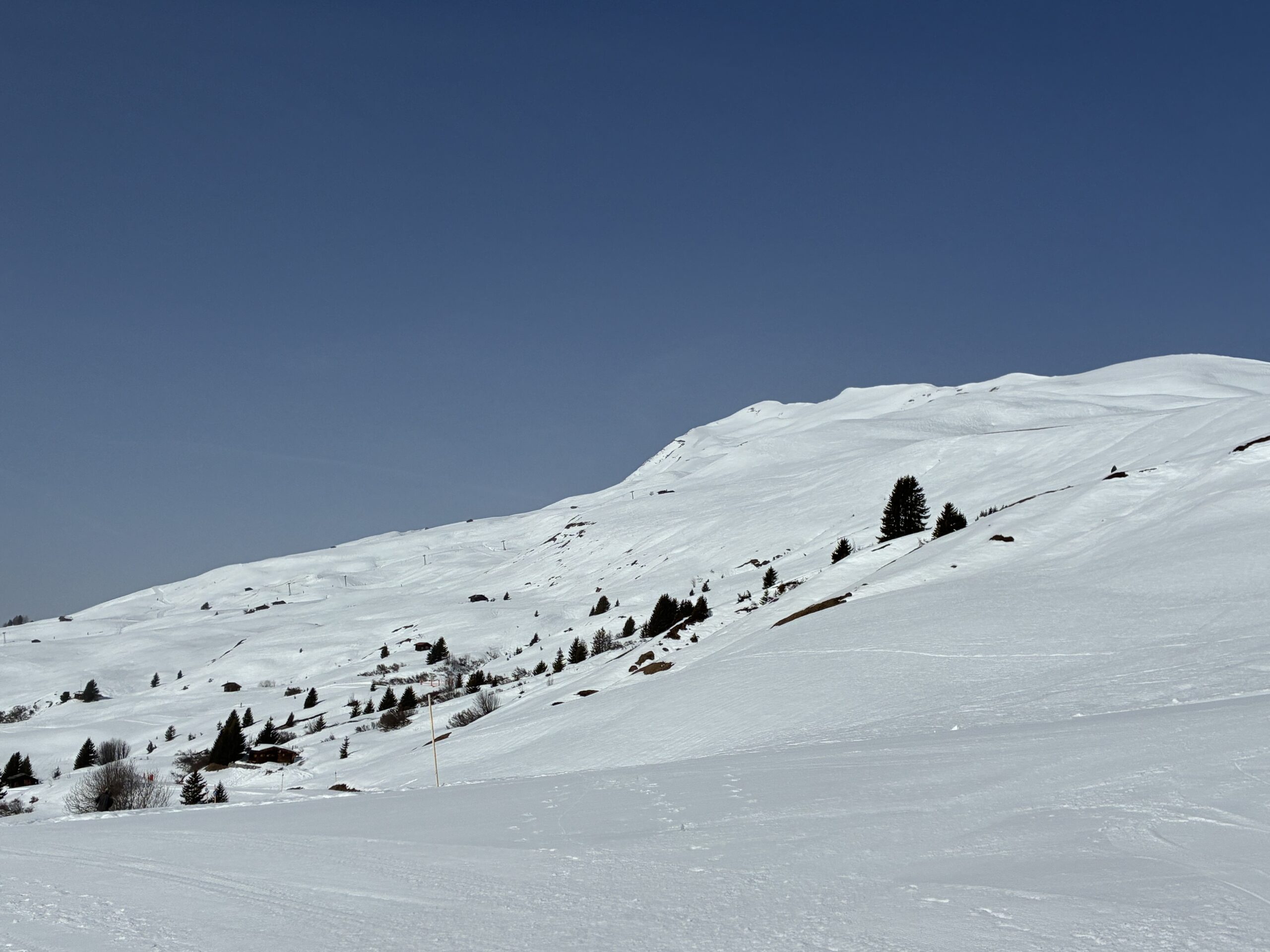 Schlittel-/Ski-Teamtag vom SA, 7. März 2026